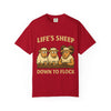 Down To Flock - Life's Sheep