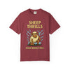 Sheep Thrills - Life's Sheep